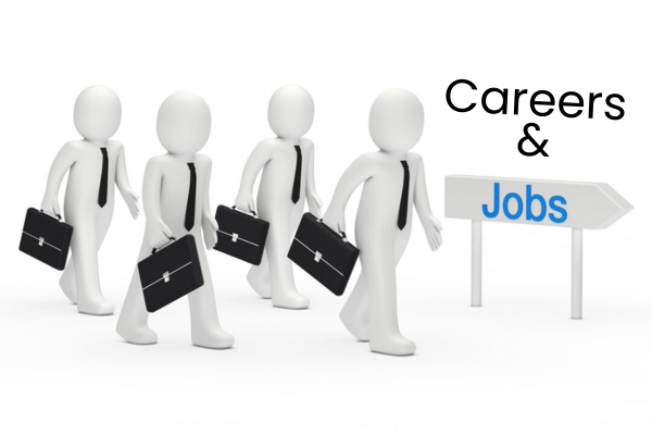 Career and job